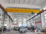 LD традиционный накладной сингл -балки EOT Crane