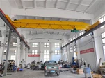 5ton Electric Single Girder Brange Crane