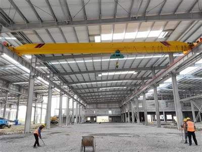 LDY Metallurgical Single Girder Bround Crane
